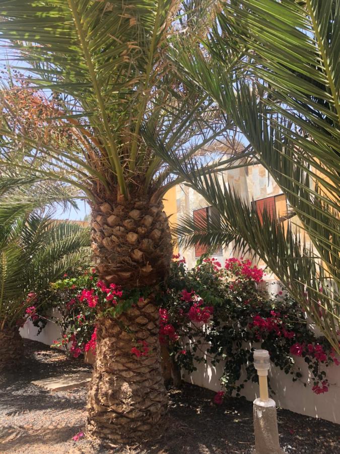 Apartamento Le Soleil De Fuerteventura Коста-де-Антигуа Экстерьер фото